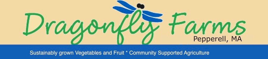 Dragonfly-Farms_logo_yelblue4