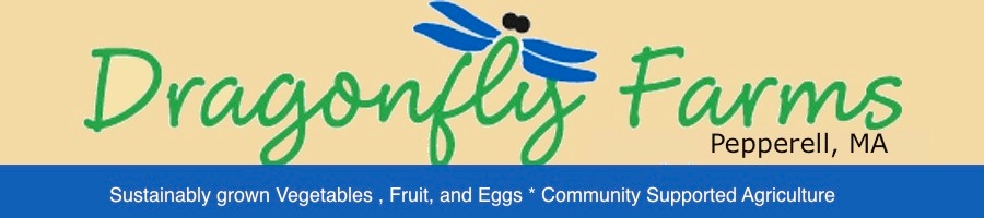 Dragonfly-Farms_logo_yelblue3